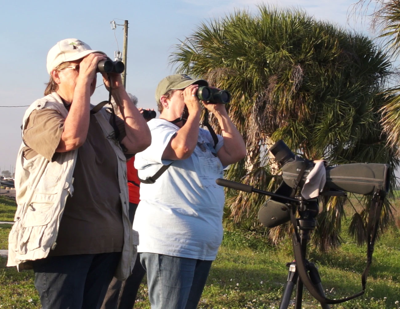 Birding | Glades County Tourism